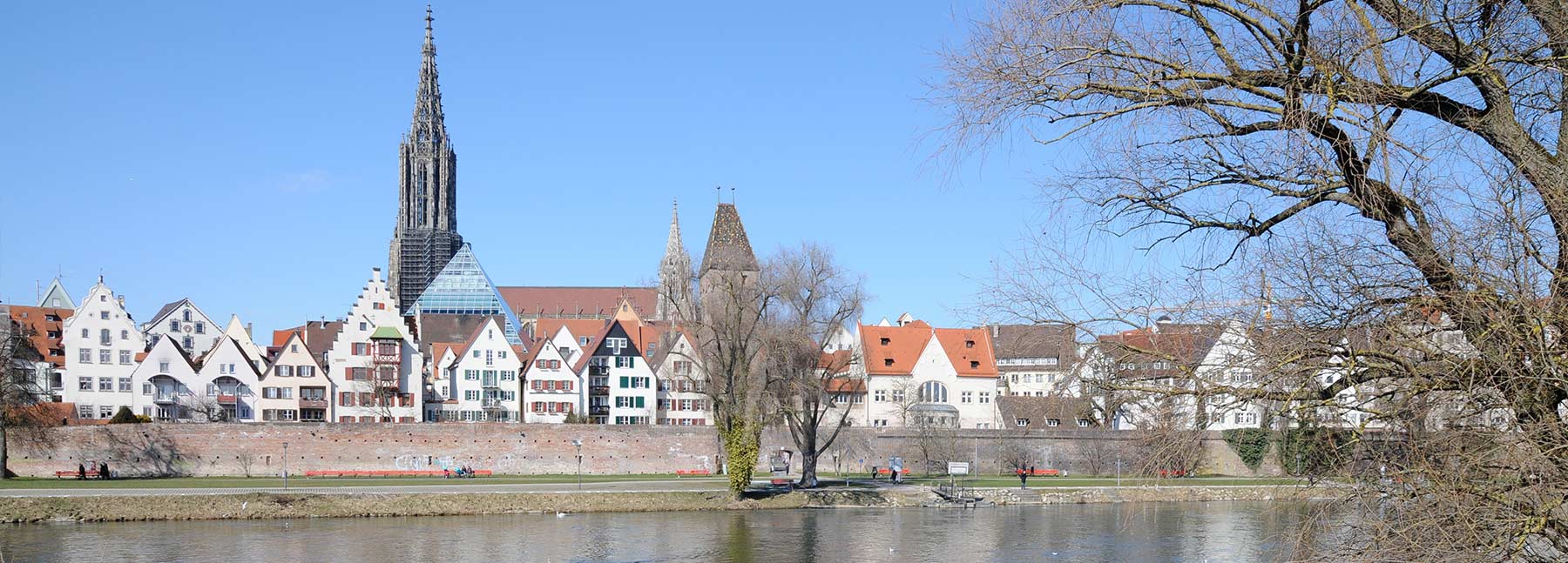 1800×647-ulm-1